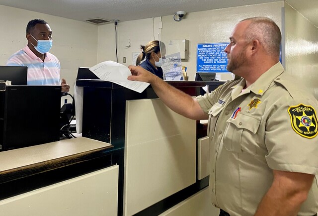 Woman Browsing Warrants